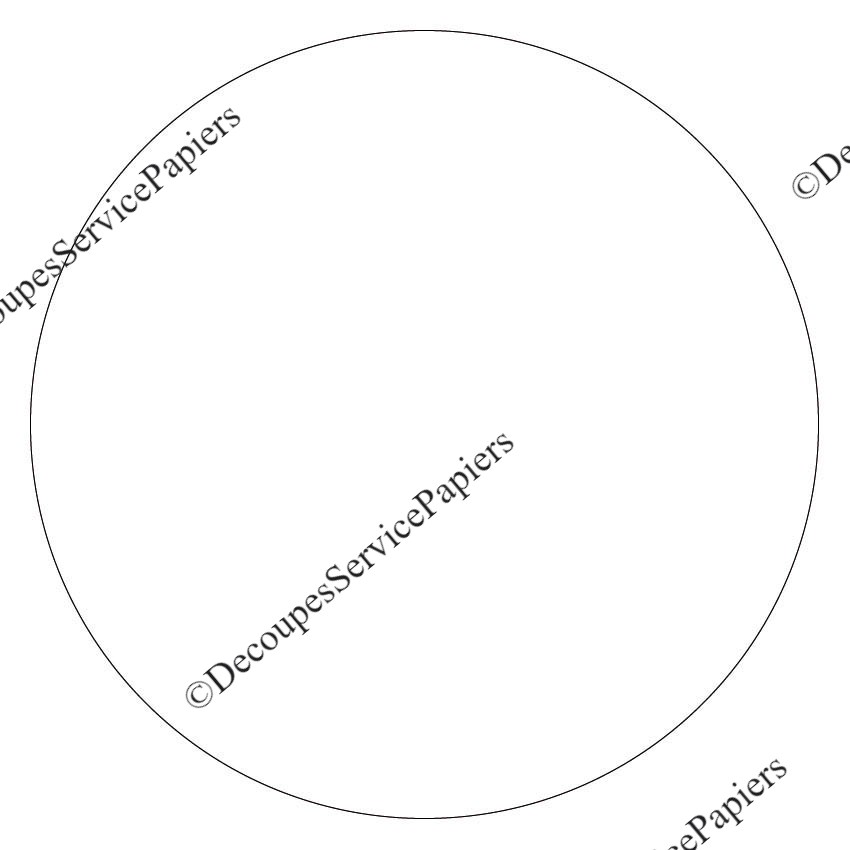 rond D 278.jpeg